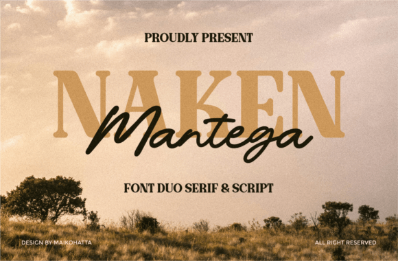 Branding with Naken: A Serif Font That Elevates Your Business