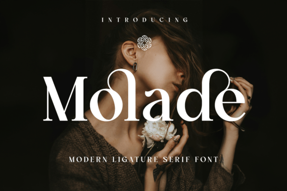 Font Choice That Elevates Your Editorial Design