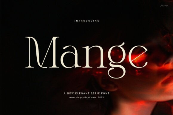 Font Choice That Matters: How Mange Elevates Your Campaigns